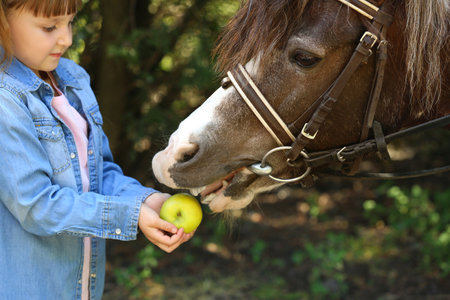 Cute little girl feeding her pony in green park, closeupの写真素材