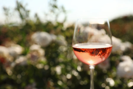 Glass of rose wine outdoors, space for textの写真素材