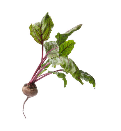 Fresh beet with leaves on white background