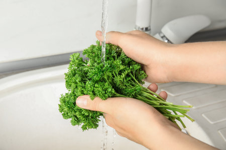 Woman washing fresh parsley under tap water in kitchen sink, closeupの写真素材