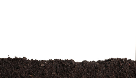 Layer of fresh soil isolated on white. gardening timeの写真素材