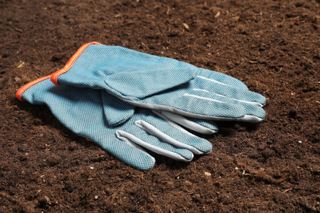 Pair of protective gloves for gardening on soil