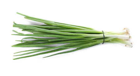 Bunch of fresh green onions on white backgroundの写真素材