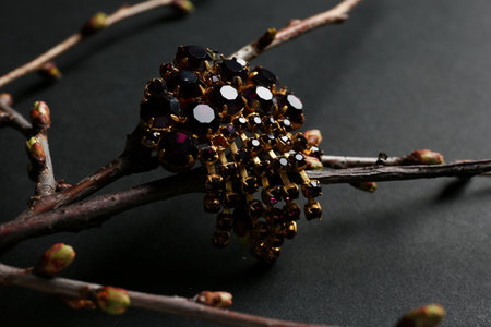 Branches with beautiful jewelry on black backgroundの写真素材
