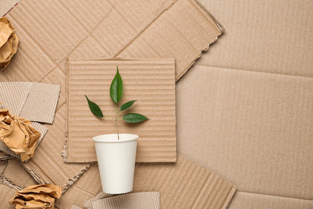 Green plant in cup and crumpled paper on cardboard, top view with space for textの写真素材