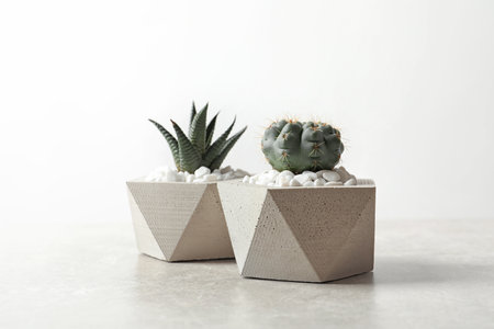 Beautiful succulent plants in stylish flowerpots on table against white background. home decorの写真素材