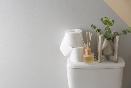 Decor elements and paper rolls on toilet tank near color wall, space for text. bathroom interiorの写真素材