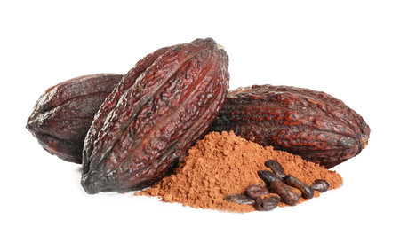 Whole cocoa pods, powder and beans on white backgroundの写真素材