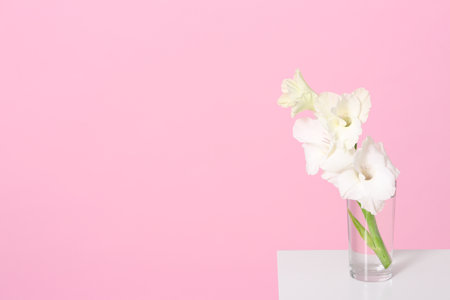 Vase with beautiful gladiolus flowers on wooden table against pink background. Space for textの写真素材