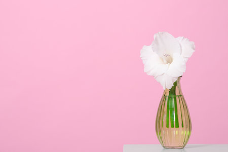 Vase with beautiful gladiolus flower on wooden table against pink background. Space for textの写真素材