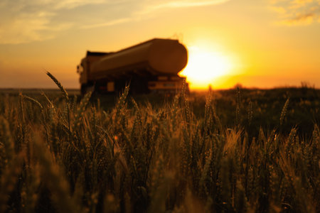 Modern truck near wheat field at sunset, selective focusの写真素材