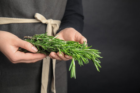 Young woman holding bunch of fresh rosemary on black background, closeupの写真素材