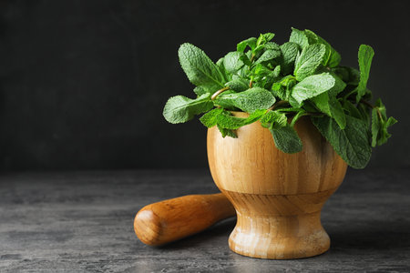Wooden mortar full of fresh green mint on gray table against dark backgroundの写真素材