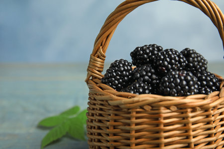 Wicker basket of tasty blackberries on blue background, closeupの写真素材