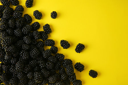 Flat lay composition with ripe blackberries on yellow background. Space for textの写真素材