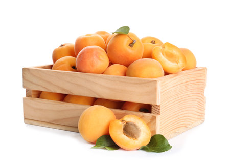 Wooden crate of delicious ripe sweet apricots isolated on whiteの写真素材