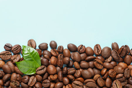 Fresh green coffee leaves and beans on light blue background, flat lay. Space for textの写真素材