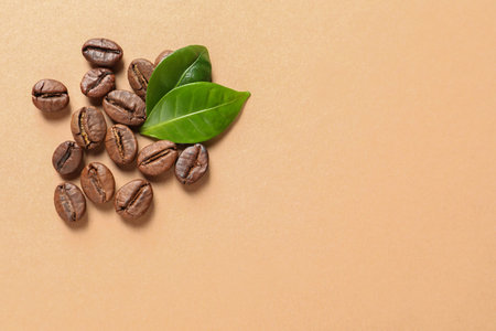 Fresh green coffee leaves and beans on light orange background, flat lay. Space for textの写真素材