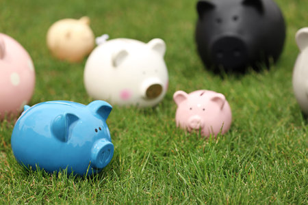Different piggy banks on green grass outdoorsの写真素材