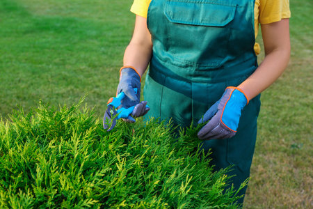 Woman trimming green bush outdoors, closeup. home gardening