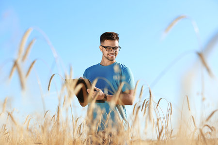 Agronomist with clipboard in wheat field. Cereal grain crop