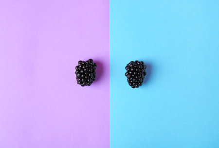 Tasty ripe blackberries on color background, flat layの写真素材