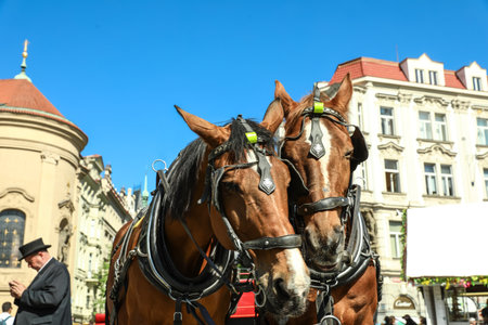 PRAGUE, CZECH REPUBLIC - APRIL 25, 2019: Harnessed horses with carriage on city streetの写真素材