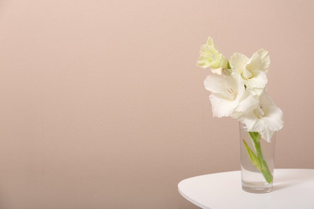 Vase with beautiful gladiolus flowers on wooden table against beige background. Space for textの写真素材