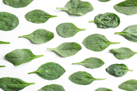 Fresh green healthy spinach leaves on white background, top viewの写真素材