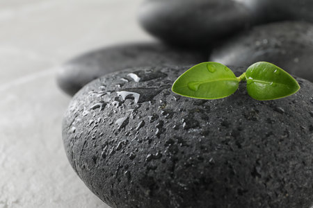 Spa stones and green leaves with water drops on gray table, space for textの写真素材