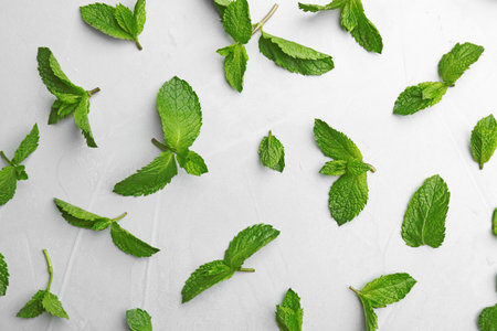 Fresh mint leaves on gray background, flat layの写真素材