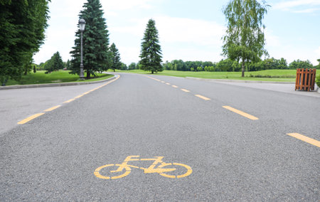 Bicycle lane with marking on asphalt road in parkの写真素材