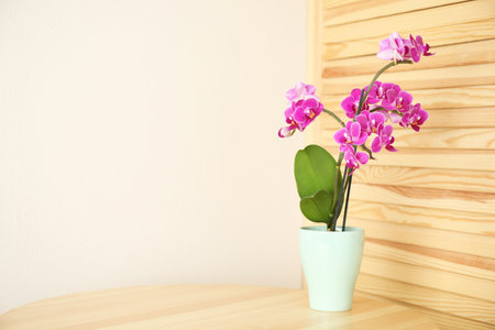 Flowerpot with blooming orchid on table indoors, space for textの写真素材