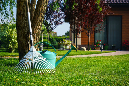 Rake and watering can near tree on green lawn. gardening toolsの写真素材