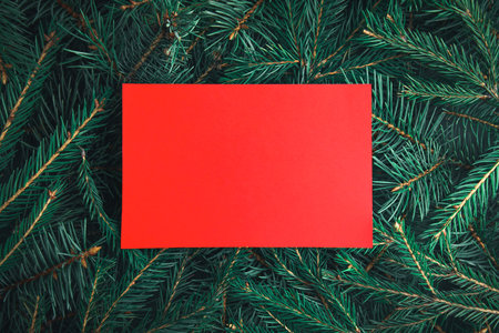 Blank card on Christmas tree branches as background, top view. Space for textの写真素材