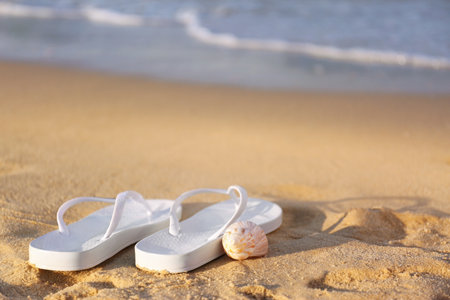 White flip flops and shells on sand near sea, space for text. beach accessoriesの写真素材