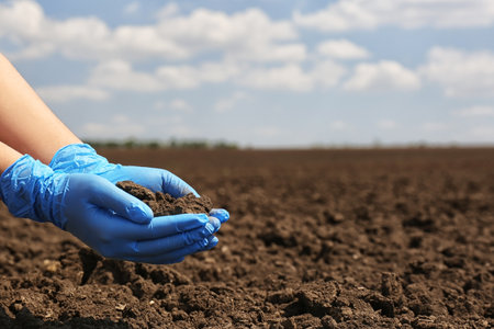 Woman holding pile of soil outdoors, closeup. Space for textの写真素材