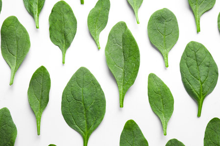 Fresh healthy green spinach leaves on white background, top viewの写真素材