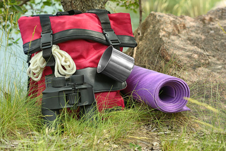 Backpack and camping equipment on grass near tree in wilderness