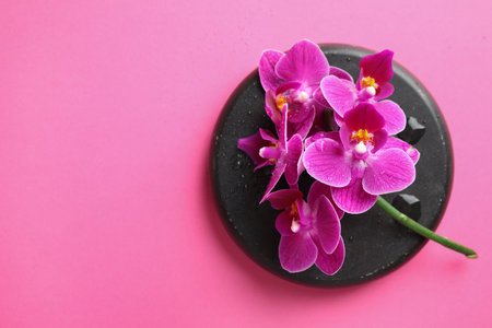 Spa stone and beautiful orchid flowers on pink background, top view. Space for textの写真素材