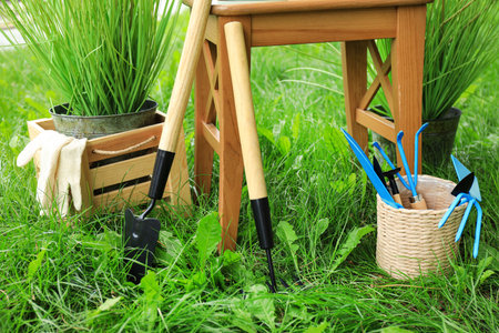 Composition with gardening tools on green grassの写真素材
