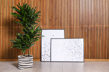 Dracaena and paintings for interior design on floor at wooden wall. Trendy plants for homeの写真素材
