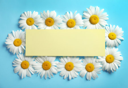 Flat lay composition with beautiful chamomile flowers and blank card on blue background, space for textの写真素材