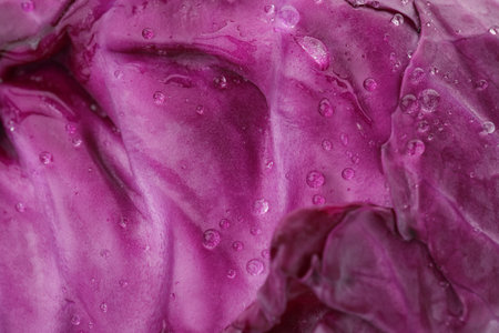 Ripe red cabbage as background, closeup viewの写真素材