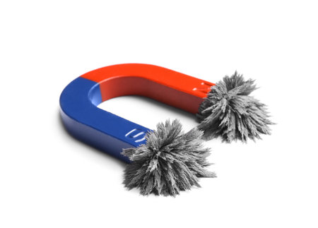 Red and blue horseshoe magnet with iron filings on white background
