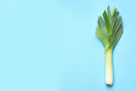 Fresh raw leek on color background, top view with space for text. Ripe onionの写真素材
