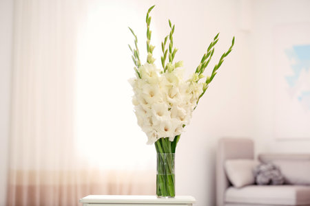 Vase with beautiful white gladiolus flowers on wooden table in room, space for textの写真素材