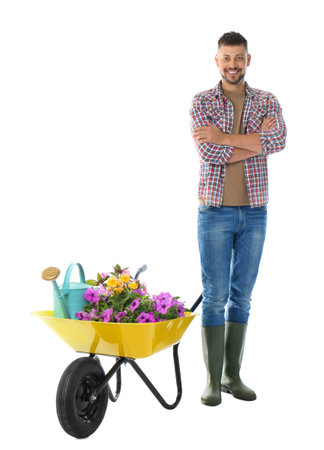 Male gardener with wheelbarrow and plants on white backgroundの写真素材