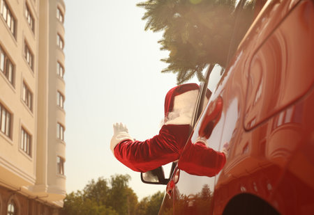Authentic Santa Claus with fir tree driving modern car, back viewの写真素材