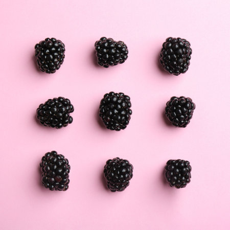 Fresh ripe blackberries on pink background, flat layの写真素材